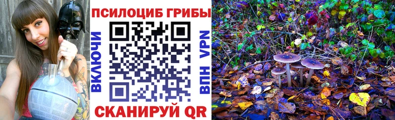 Псилоцибиновые грибы GOLDEN TEACHER  Купить  Сельцо 