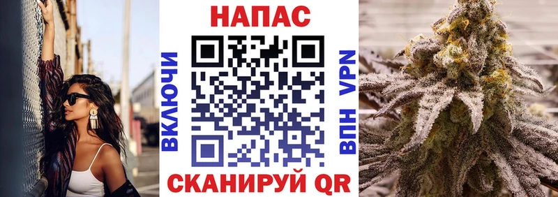 Шишки марихуана Bruce Banner Сельцо
